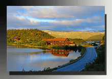 Lake Print Calm Landscape Water reflections Zen Nature photograph Norwegian fjord 'Peaceful Morning'