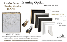 Framing options with solid Italian pine wood frames in gold, champagne gold, black, and white.